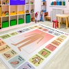 image:imageCore Vocabulary Rug Communication Rugs for Kids Sped Classroom Rug Autism Carpet Speech Therapist Decor STYLEDS01 Size XSmall 2x3 feetStyle6